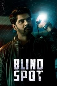 Blind Spot (2025) Blind Spot (2025)